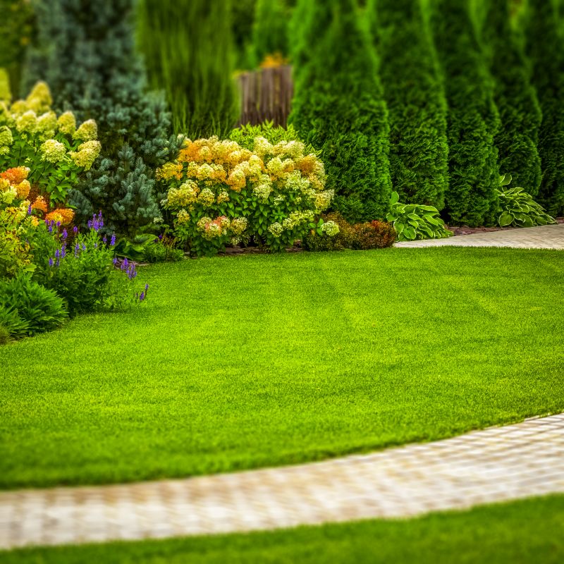Landscaping Image 1