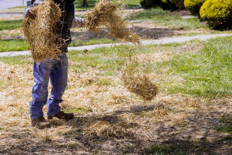 Pine Straw Spreading