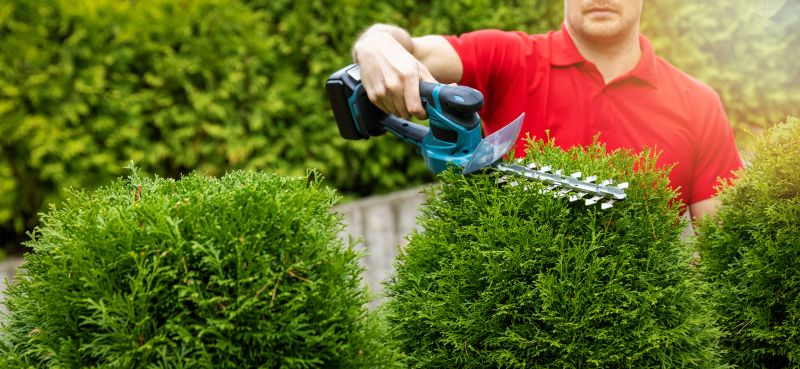 Tree and Shrub Services