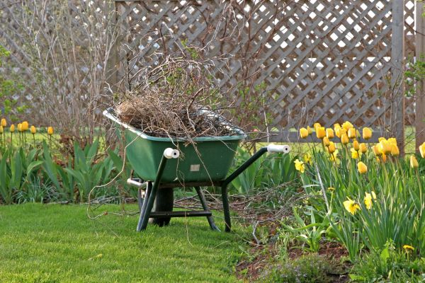 Flower Bed Cleanup Service in Cheyenne