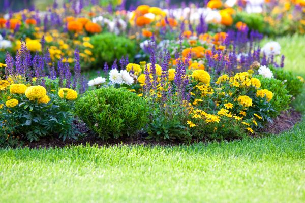 Flower Bed Maintenance in Cheyenne