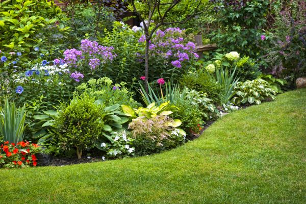 Flower Bed Service in Cheyenne