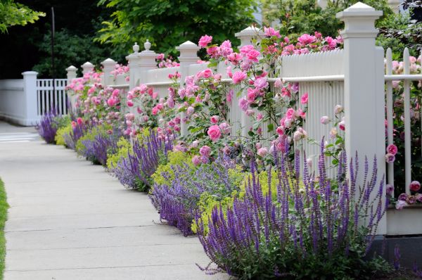 Garden Handyman Service in Cheyenne