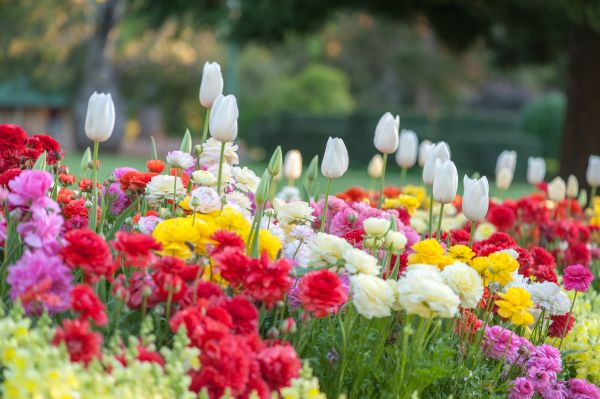 Gardening Service in Cheyenne