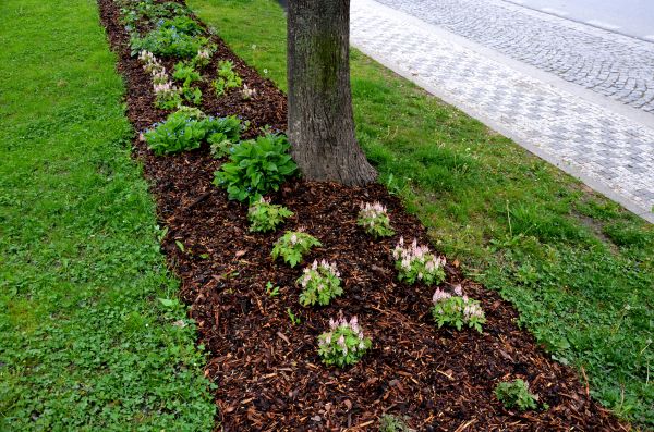 Mulch Replacement Service in Cheyenne