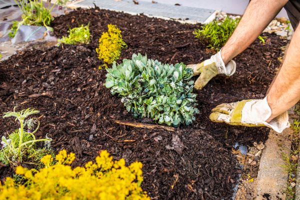 Weeding And Mulching in Cheyenne