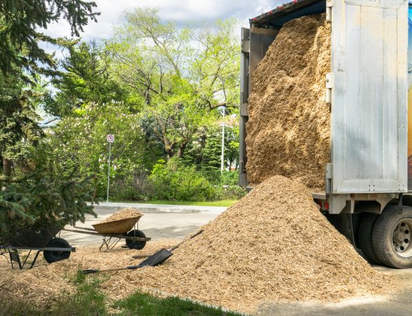 Wood Chips Delivery in Cheyenne