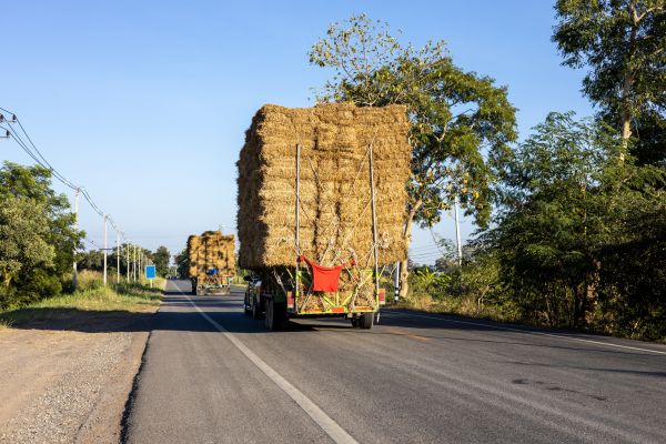Pine Straw Delivery in Cheyenne