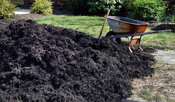 Black Mulch Delivery in Cheyenne