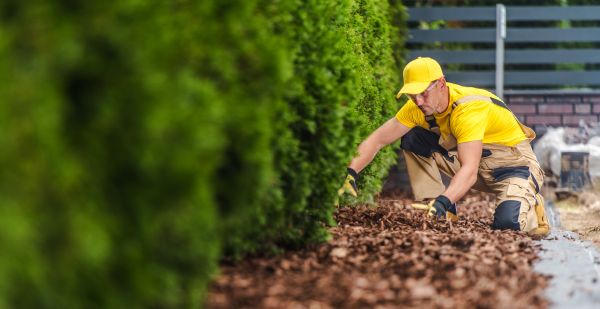 Cypress Mulch Installation in Cheyenne