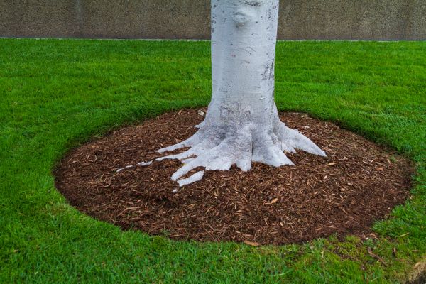 Brown Mulch Installation in Cheyenne