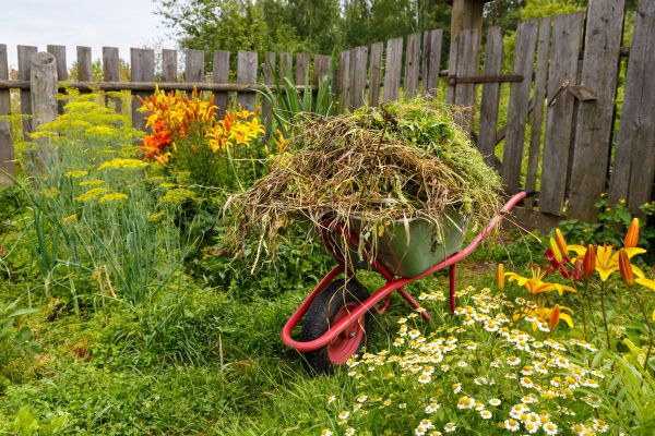 Garden Cleanup Service in Cheyenne