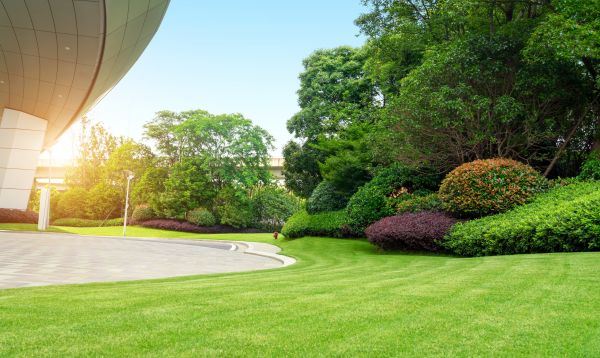 Business Landscape Design in Cheyenne