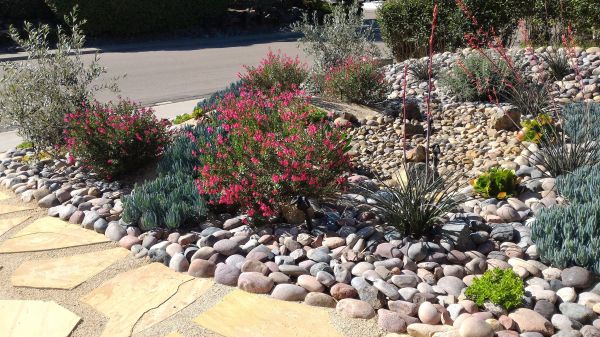 Xeriscape Landscaping in Cheyenne