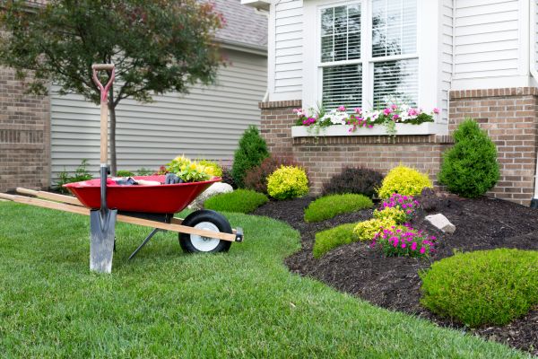 Tree And Shrub Planting in Cheyenne
