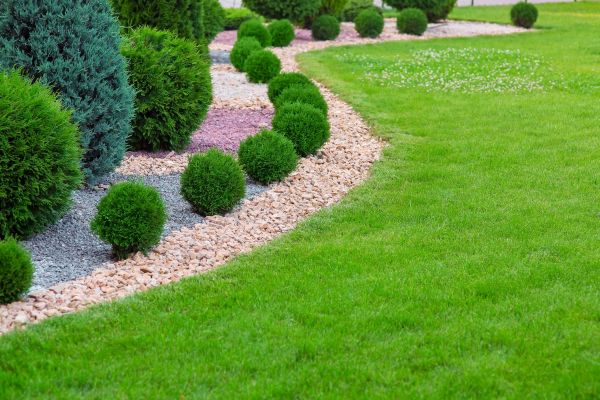 Edging Stones Installation in Cheyenne