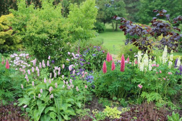 Flower Bed Planting in Cheyenne