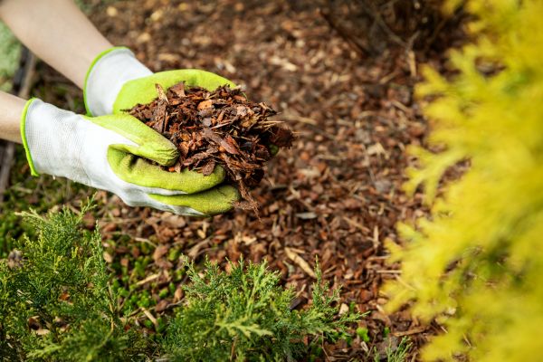 Garden Mulch Delivery in Cheyenne