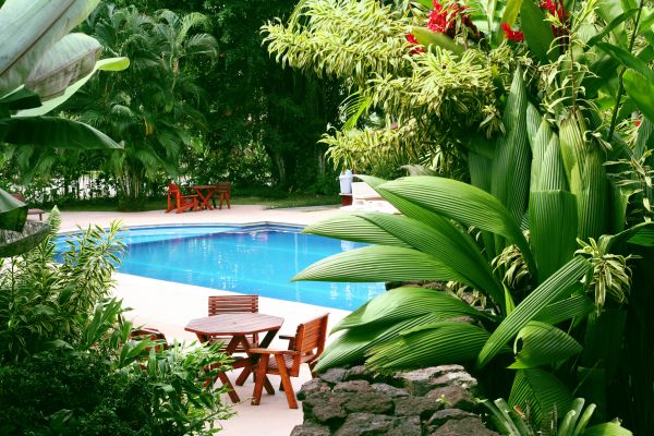 Tropical Garden Landscaping in Cheyenne