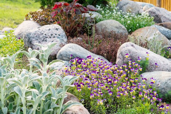 Rock Garden Installation in Cheyenne