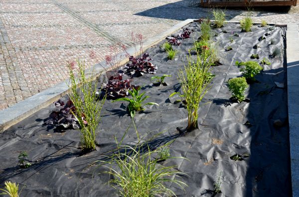 Landscape Fabric Installation in Cheyenne