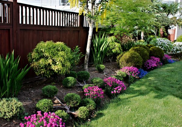 Garden Bed Construction in Cheyenne