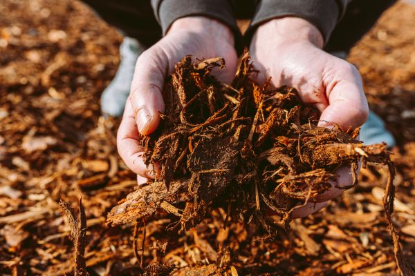Bark Chips Delivery in Cheyenne