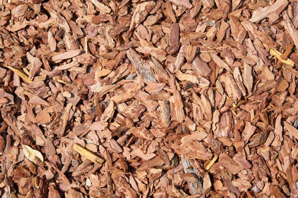 Pine Mulch Delivery in Cheyenne