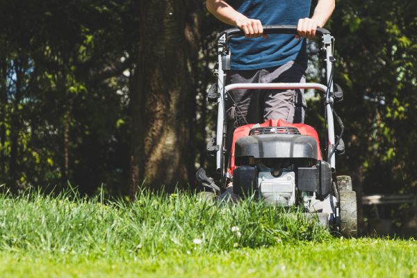 Garden Trimming Service in Cheyenne