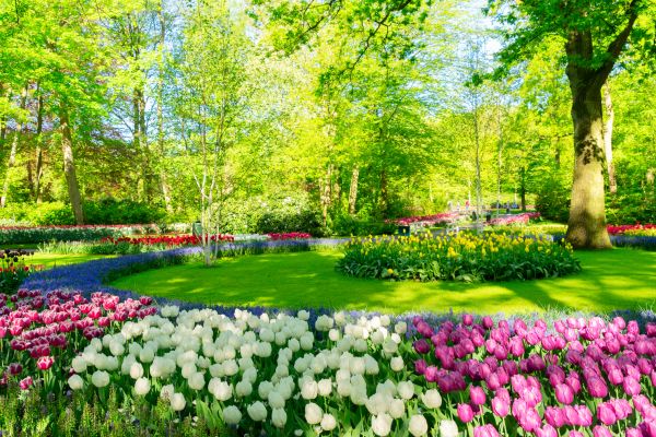 Flower Landscaping in Cheyenne