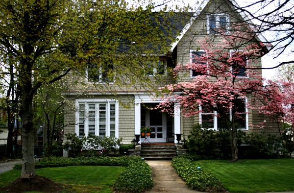 Ornamental Tree Planting in Cheyenne