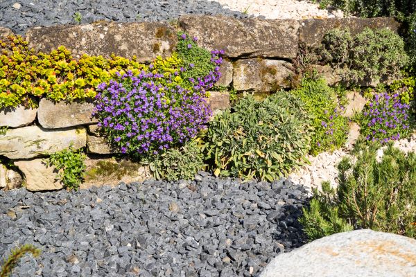 Landscaping Rocks Installation in Cheyenne