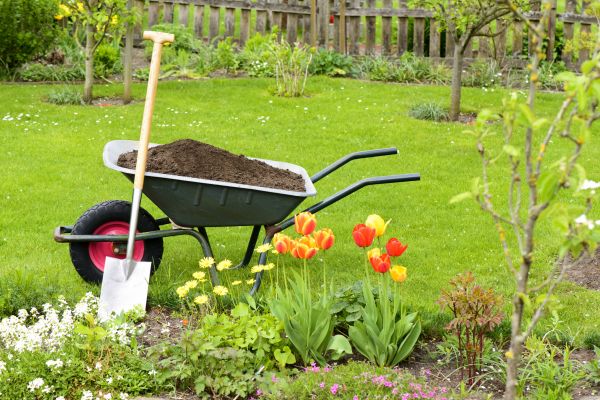 Spring Yard Renovation in Cheyenne