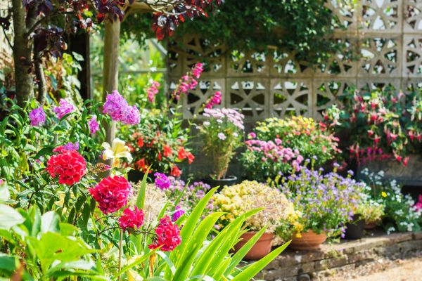 Spring Garden Maintenance in Cheyenne