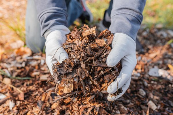 Shredded Mulch Installation in Cheyenne
