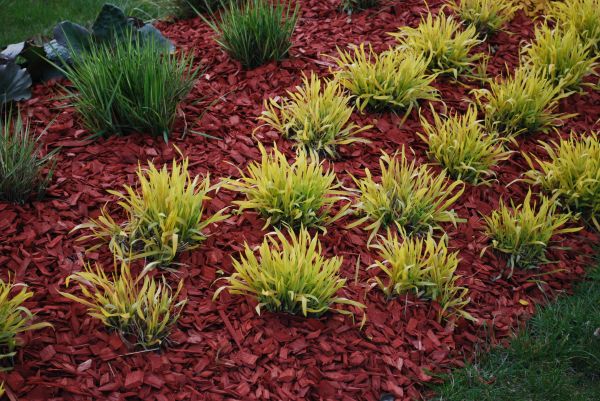 Red Mulch Installation in Cheyenne