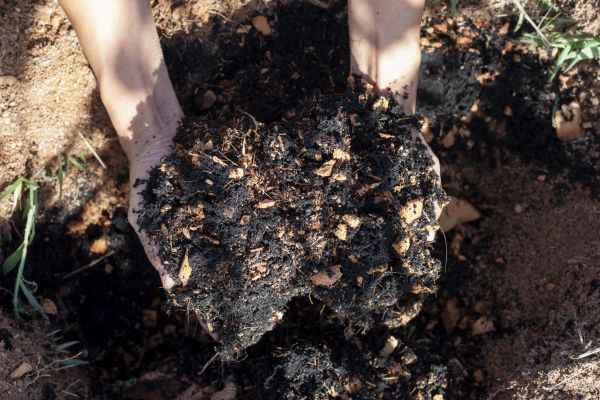 Organic Mulch Installation in Cheyenne