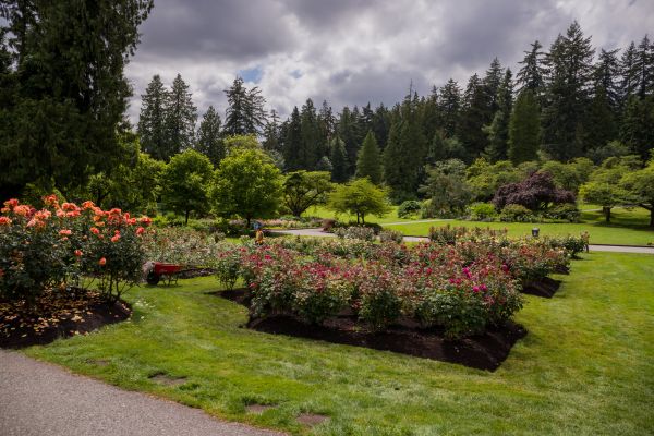 Flower Garden Landscaping in Cheyenne