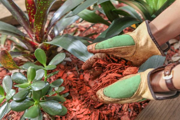 Residential Mulching in Cheyenne