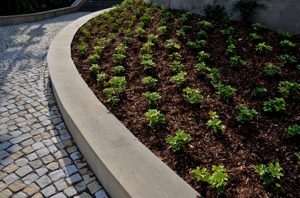 Commercial Mulching in Cheyenne