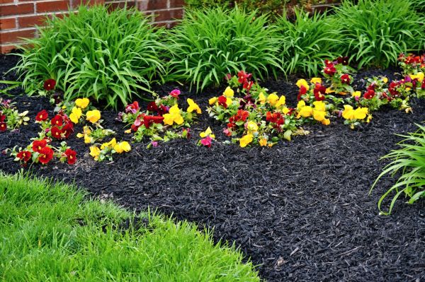 Apartment Mulching in Cheyenne
